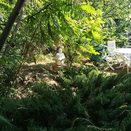 An Der Stadtmauer Guest house Gartz